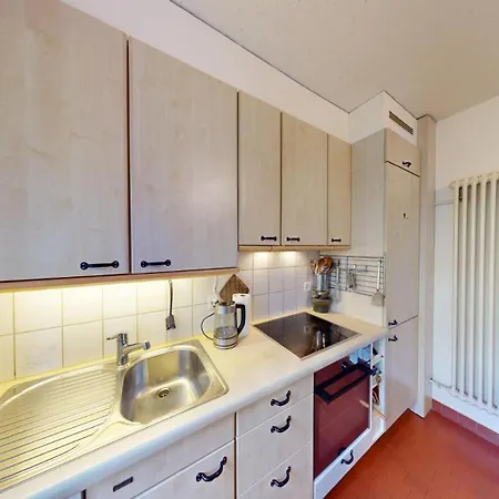 4 Zimmerwohnung Mit Grossem Garten Chur